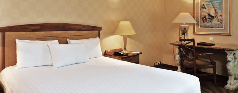 Millennium Hôtel Paris Charles de Gaulle