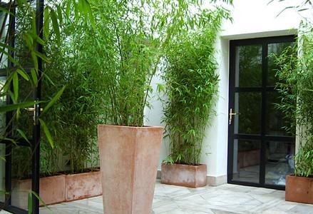 Tingis Hôtel