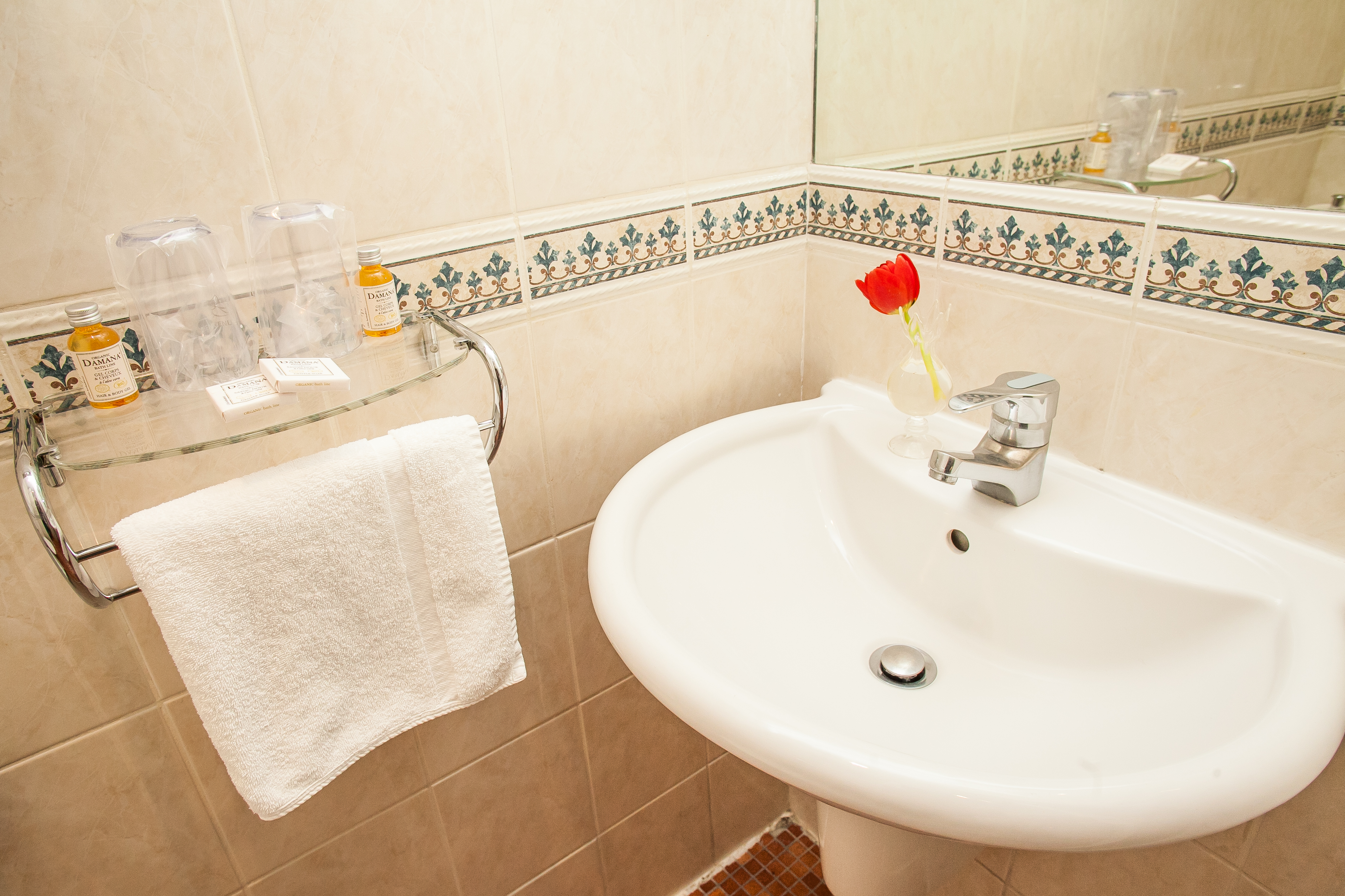 Hôtel Europe Saint Séverin