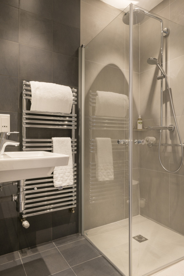 Hotel France Albion
