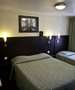 Prince Albert Opera Size 18261 246 294