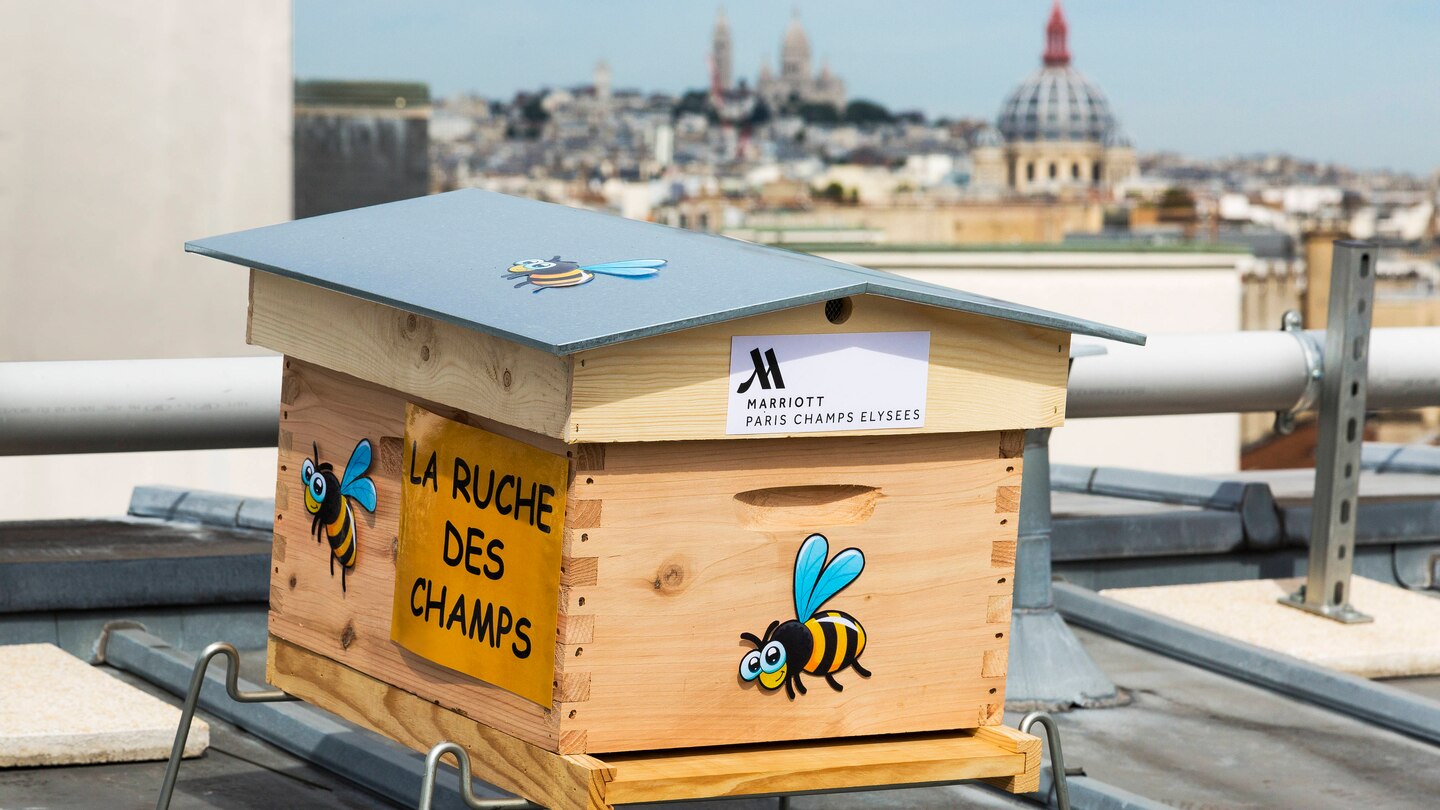 Hôtel Marriott Champs Elysées