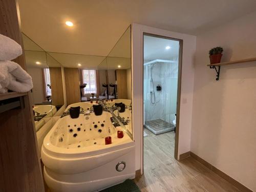 Hôtel du Parc Canal - Stade de France