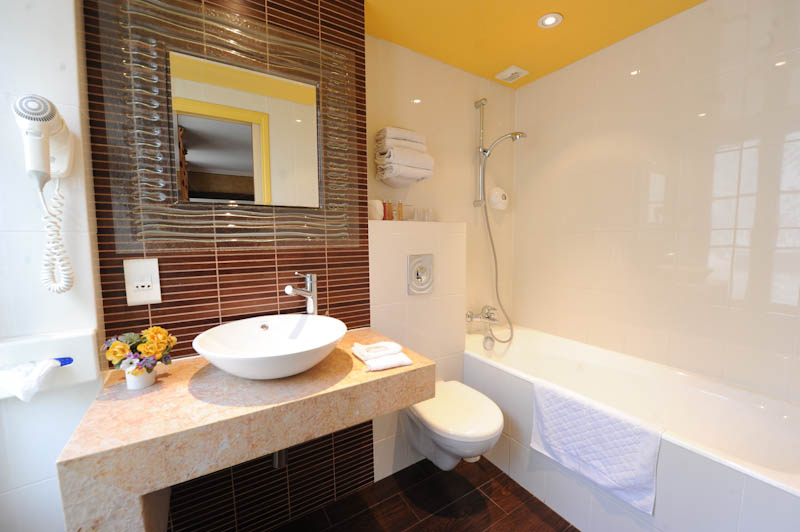 Hotel du Vieux Saule