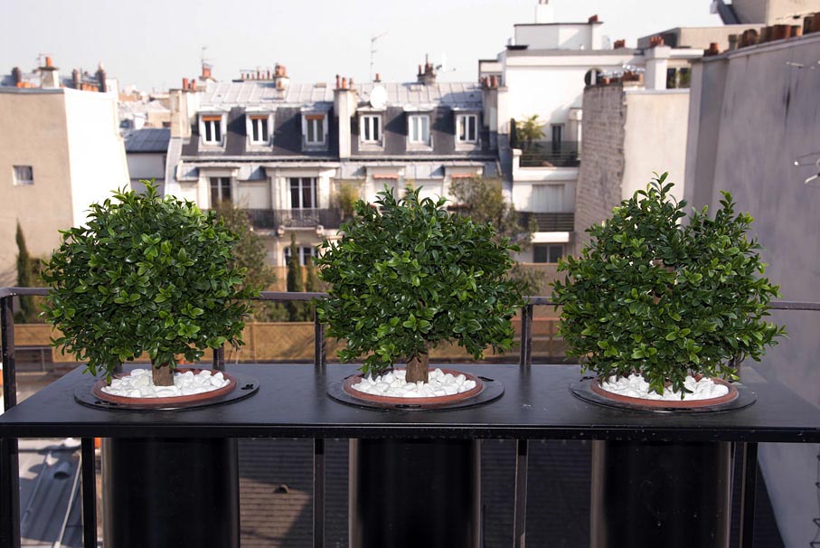 Hotel Tilsitt Etoile