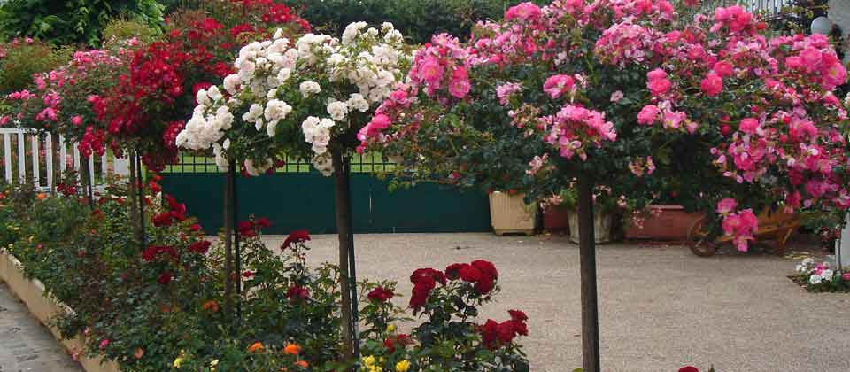 Hotel Maison Blanche