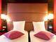 Ibis Styles Paris Pigalle Montmartre